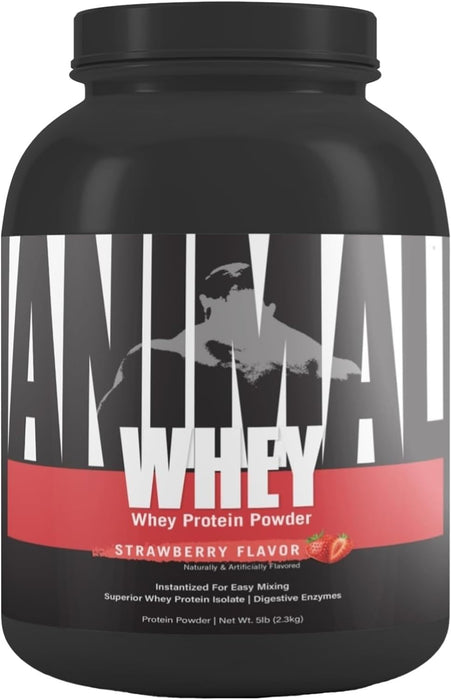 Animal 100% Whey Protein 1kg - Whey Proteins at MySupplementShop by Animal