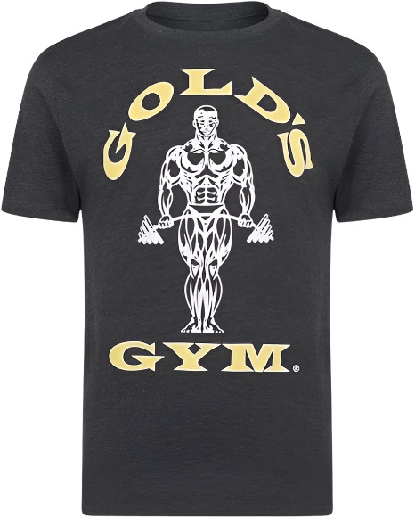 Gold's Gym Muscle Joe T-Shirt Charcoal Marl