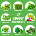 Applied Nutrition Critical Greens Apple Burst 150g: Daily Greens Revolution | Premium Herbal Supplement at MYSUPPLEMENTSHOP