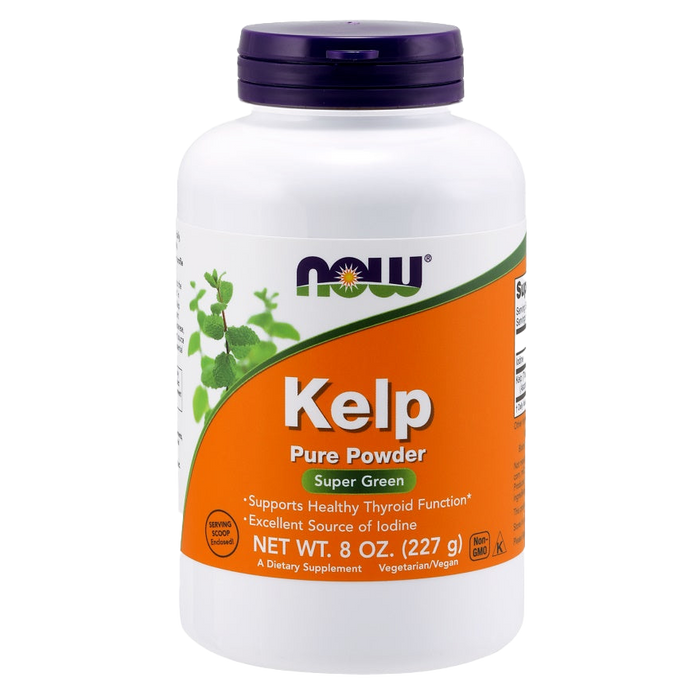 NOW Foods Kelp, reines Pulver – 227 g