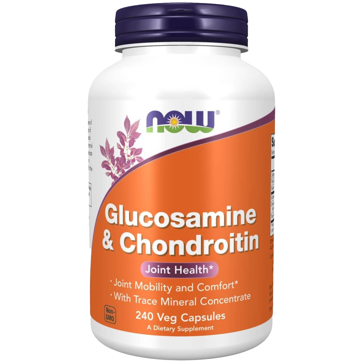 Glucosamine & Chondroitin