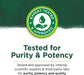 Swanson Elderberry Extract Syrup 8 fl oz Liquid | Premium Supplements at MYSUPPLEMENTSHOP