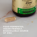 Solgar EarthSource Food-Fermented Koji Zinc | High-Quality Sports Nutrition | MySupplementShop.co.uk